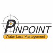 Pinpoint Leak